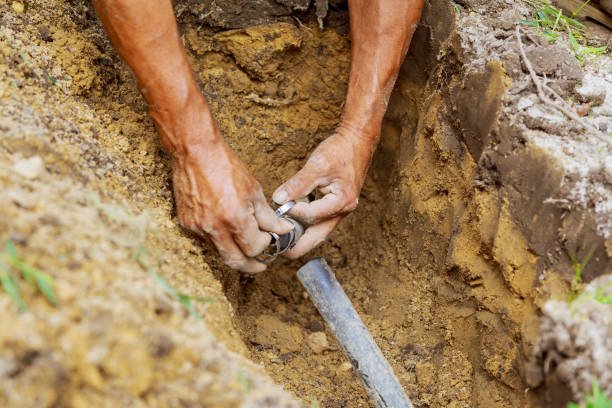 istockphoto-1140801801-612x612